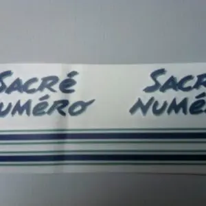 Kit Déco 205 Sacré Numéro bleu (port inclus)