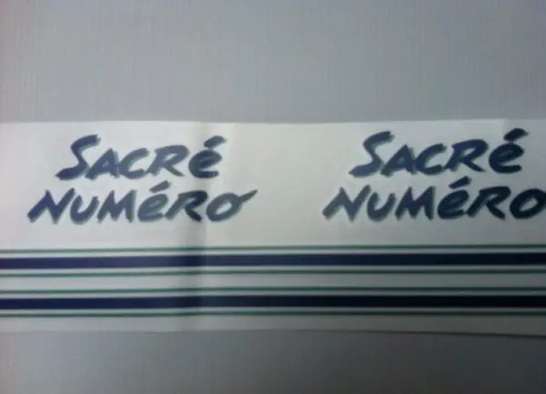 Kit Déco 205 Sacré Numéro bleu (port inclus)