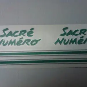 Kit Déco 205 Sacré Numéro VERT (port inclus)