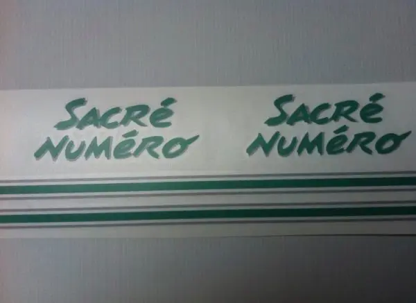 Kit Déco 205 Sacré Numéro VERT (port inclus)