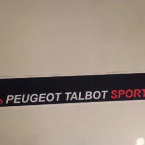 Pare soleil 205 Peugeot sport Bleu (Port inclus)